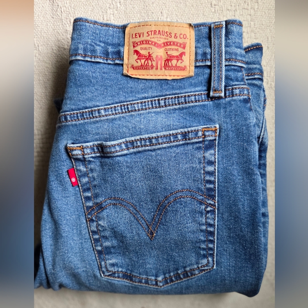 Levi Strauss Blue Denim Jeans